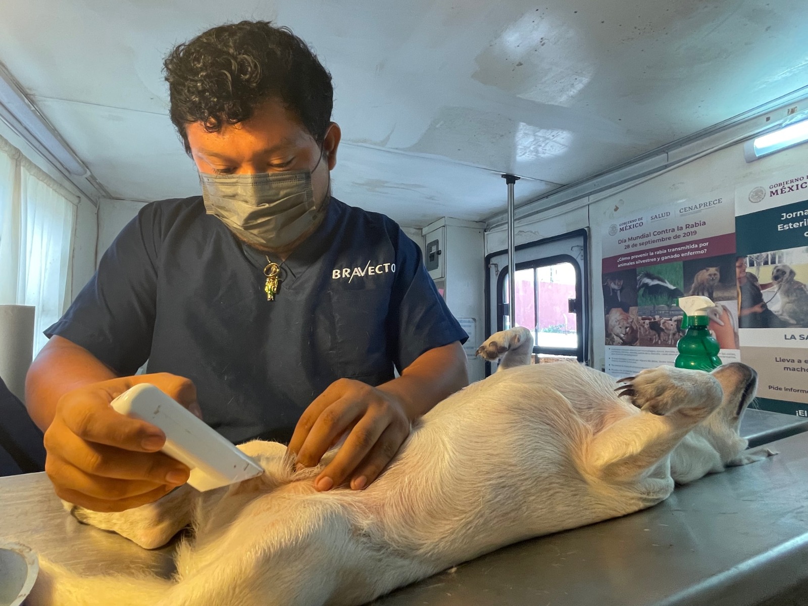 Foto: Cortesía / También habrá quirófano móvil el 8 y 9 de noviembre en la Colonia Minas y el 10 en Siglo XXI