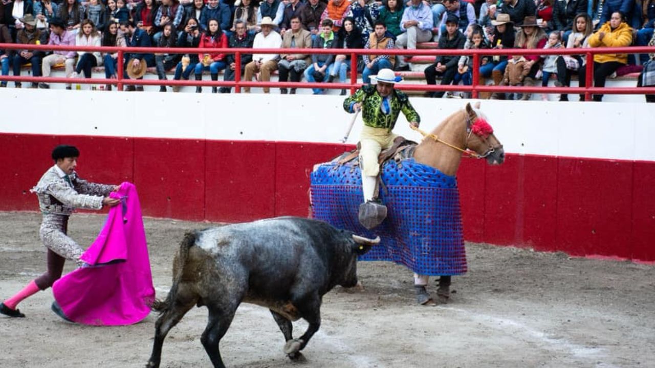 La Segunda Sala de la Suprema Corte de Justicia de la Nación (SCJN) revocó hoy la suspensión contra las corridas de toros