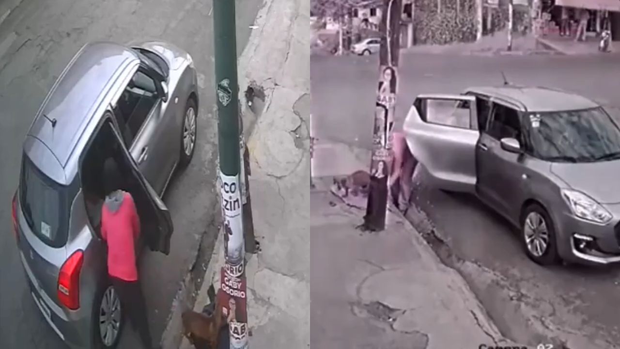 VIDEO: ¡Y con este frío! Mujer abandona a perrito en calles de Tlalpan