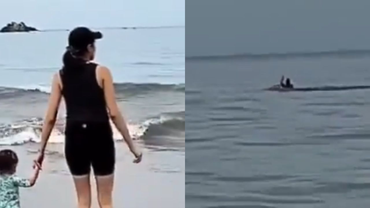 Difunden video del ataque de tiburón a turista en Zihuatanejo