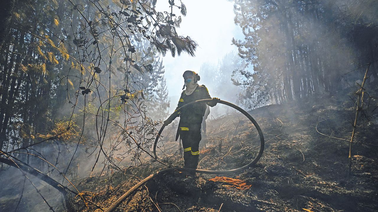 Según la UNGRD, el departamento con mayor incidencia es Cundinamarca (centro) con incendios en más de cinco municipios.