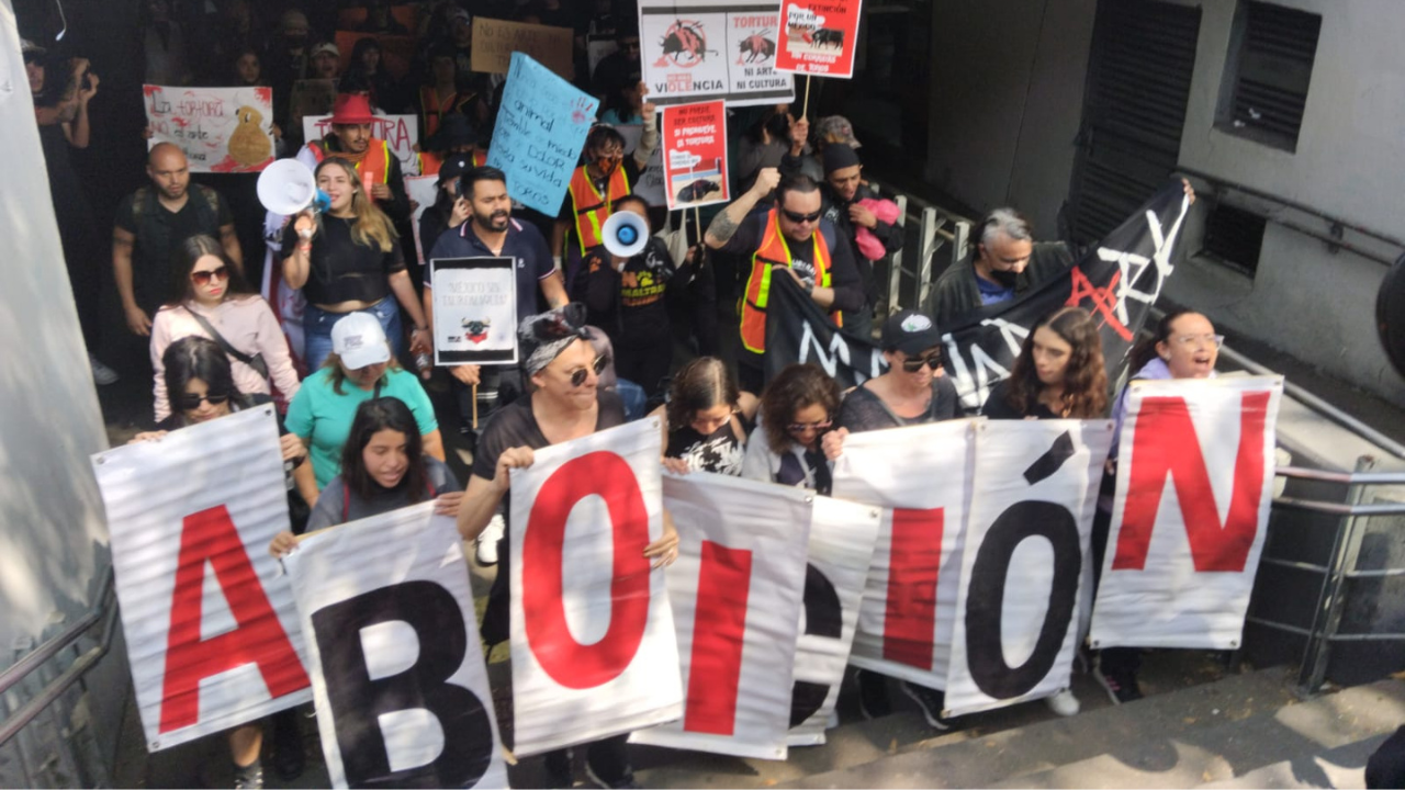 Protesta contra corrida de Toros