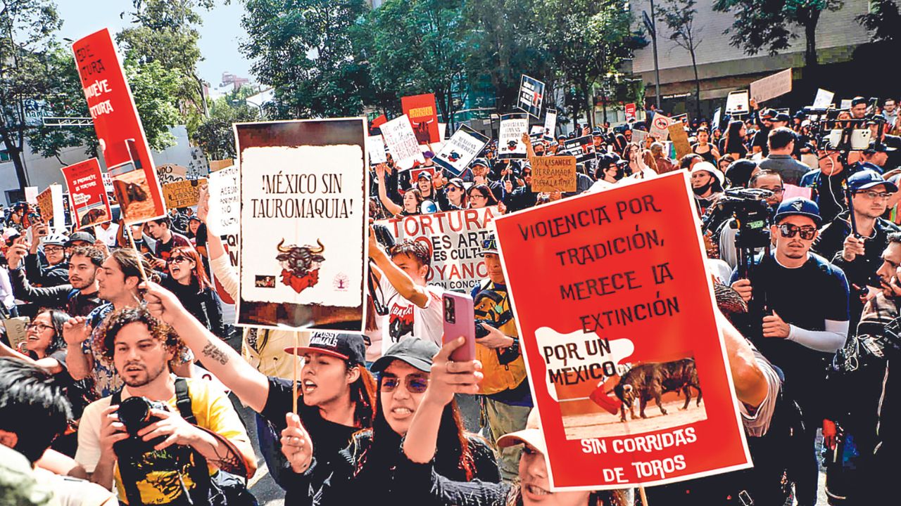 Este sábado se realizará el mitin “Estruendo Antitauromaquia”, para exigir la abolición de las corridas de toros en México. 