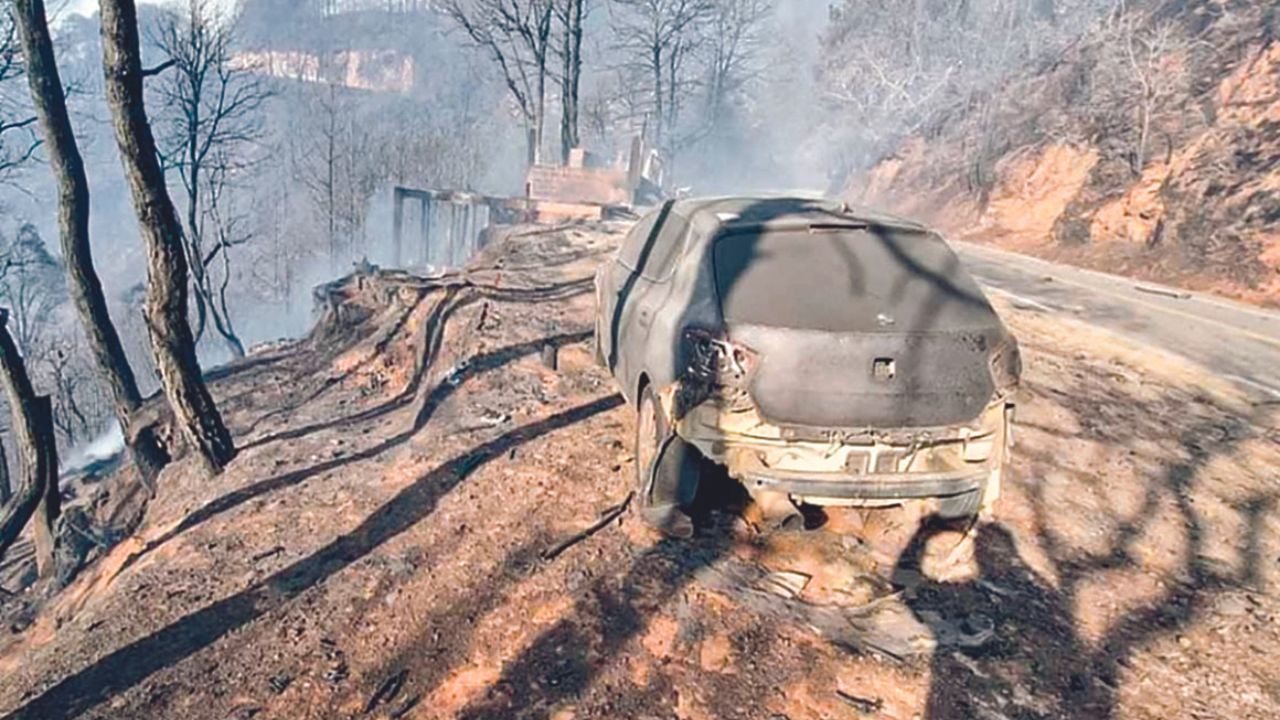 Ixtepeji es uno de los bosques más cuidados en la zona forestal de la Sierra