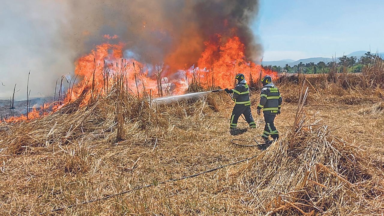 Colosal. La columna de humo fue visible desde distintos puntos de la capital; los internautas compartieron fotos y videos.