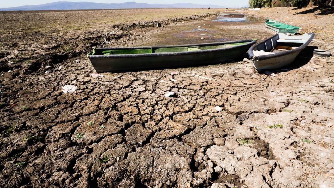 El Grupo revisó que nuestro país tendrá exportaciones de aguacate por 1.5 millones de toneladas métricas, incrementando las cifras de ventas al exterior hasta un 10.8% este año