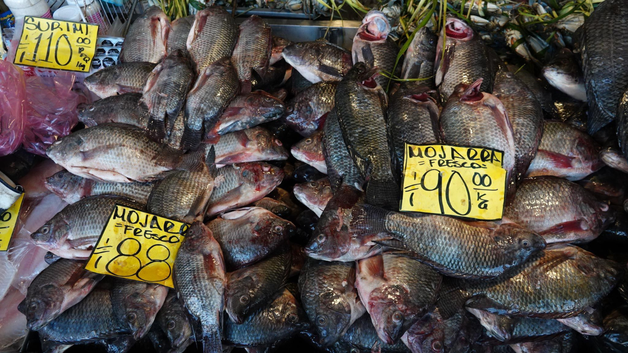 Pescados y Mariscos en Cuaresma