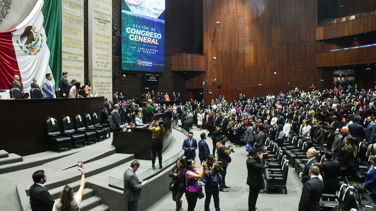 Funciones de un diputado