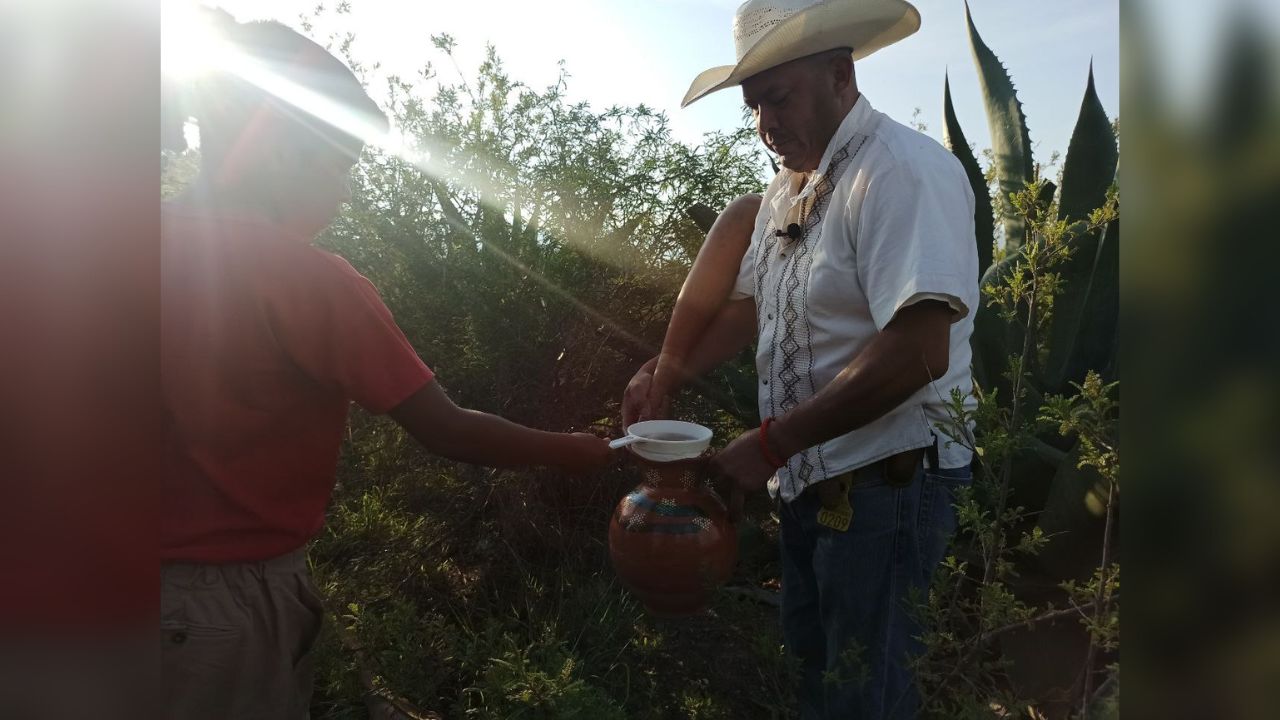 Pulque, identidad y orgullo hidalguense