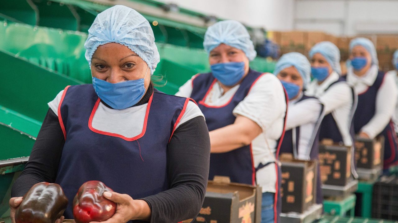 México producirá 300 millones de toneladas de alimentos en 2023: Sader