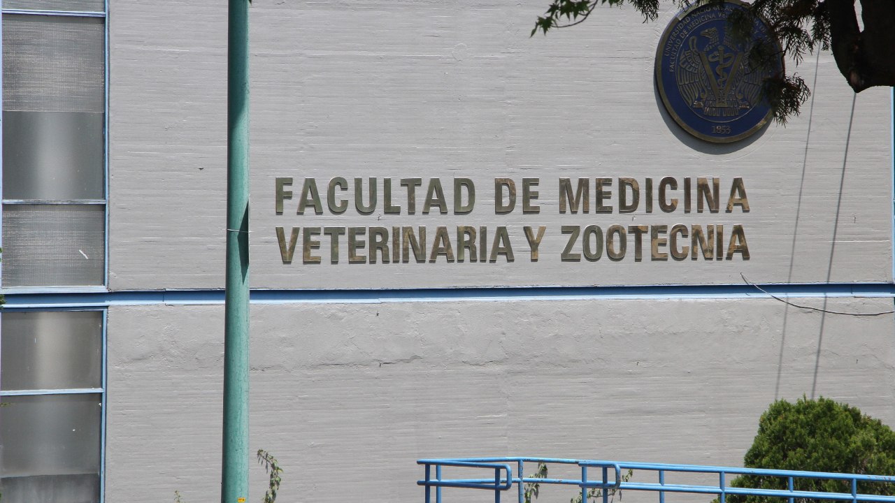 La UNAM reiteró que la Facultad de Medicina y sus estados financieros nada tienen que ver con las investigaciones que realiza la UIF.