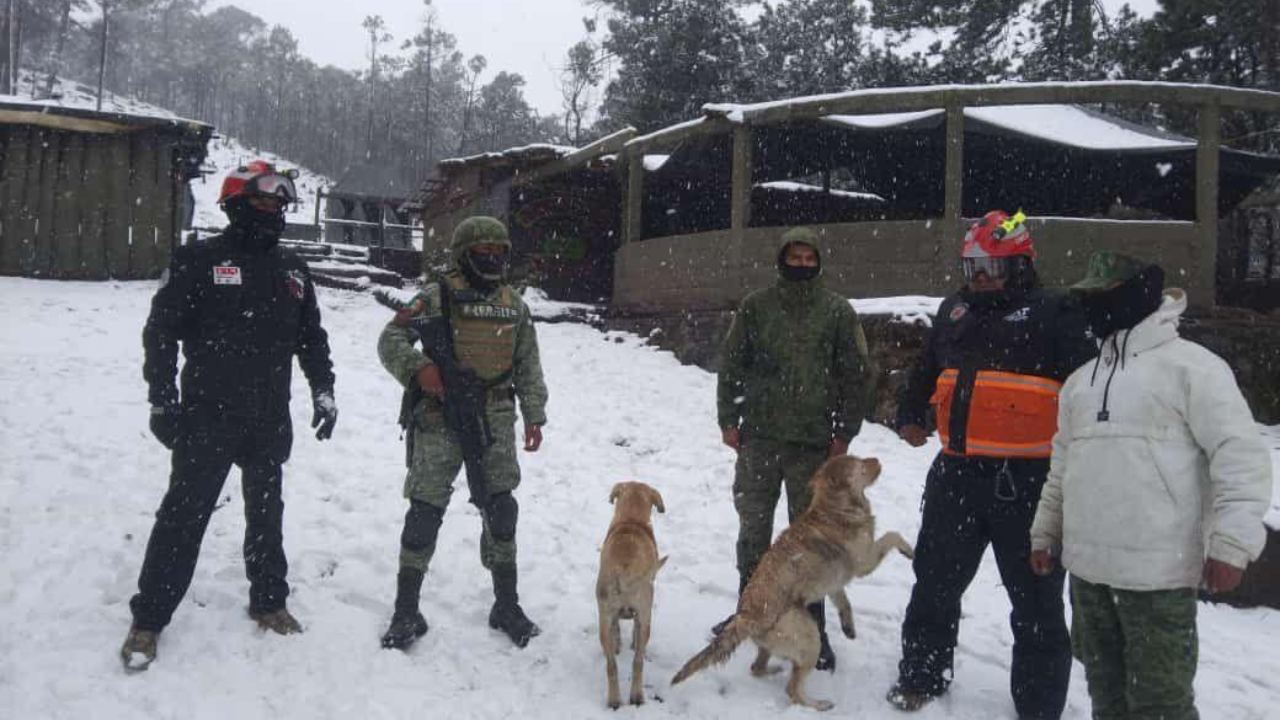 Ante la presencia de aguanieve en las zonas altas del Ajusco, la alcaldía Tlalpan pidió a la ciudadanía a no subir a dichas zonas.