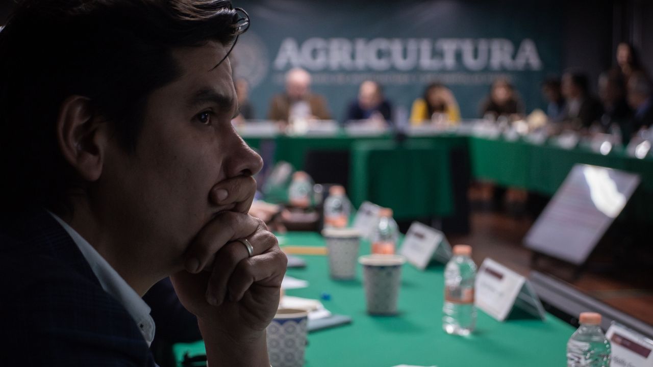 En reunión de trabajo, autoridades de Agricultura y miembros de la industria del aguacate acordaron buscar el crecimiento ordenado y sustentable del sector