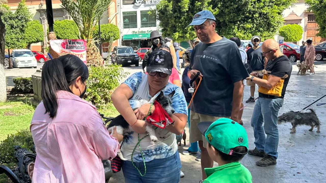 Precaución. Apenas ayer terminó la Jornada Nacional de Vacunación Antirrábica Canina y Felina; en la foto, dueños de mascotas acuden a protegerlas en San Luis Potosí.  