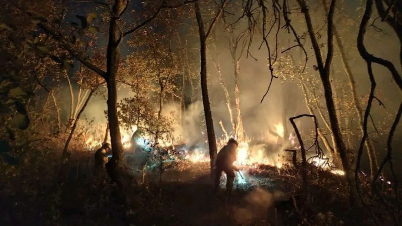 Tragafuegos. Los brigadistas y voluntarios trabajan para contener y sofocar los incendios en los 18 estados.