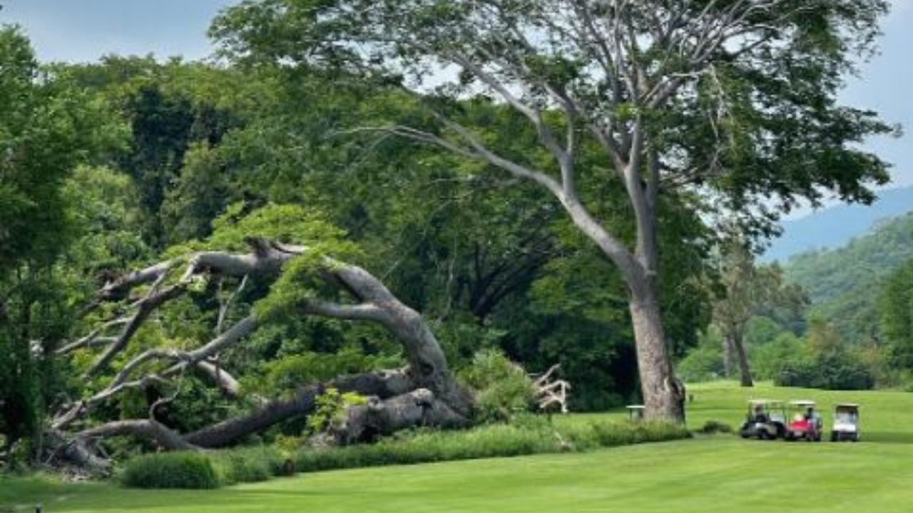 Los campos de golf que operaba el empresario Ricardo Salinas Pliego en Oaxaca, serán área natural protegida