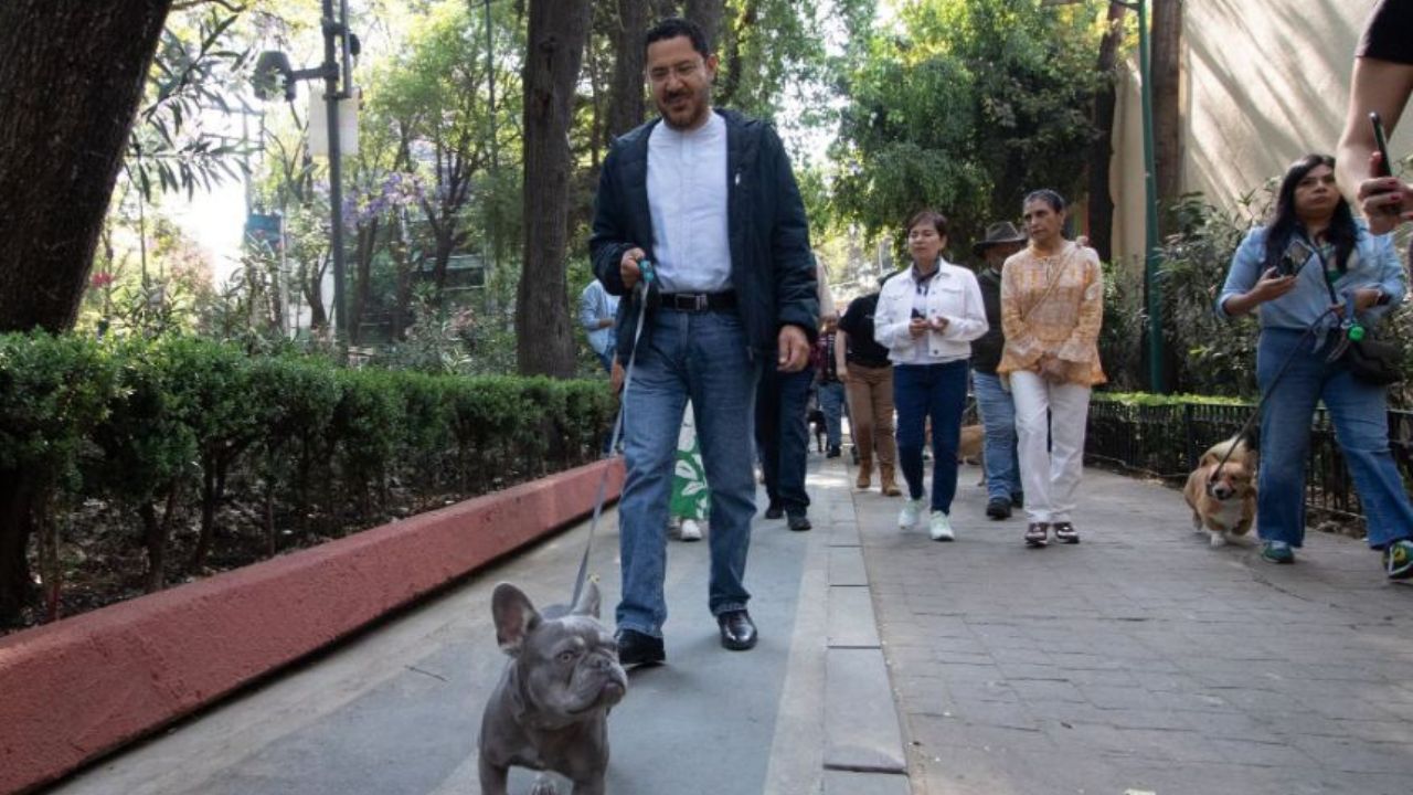 Las reformas nos detallan cómo y a dónde debemos acudir para registrar a nuestras mascotas, pedir atención veterinaria o denunciar cualquier maltrato animal