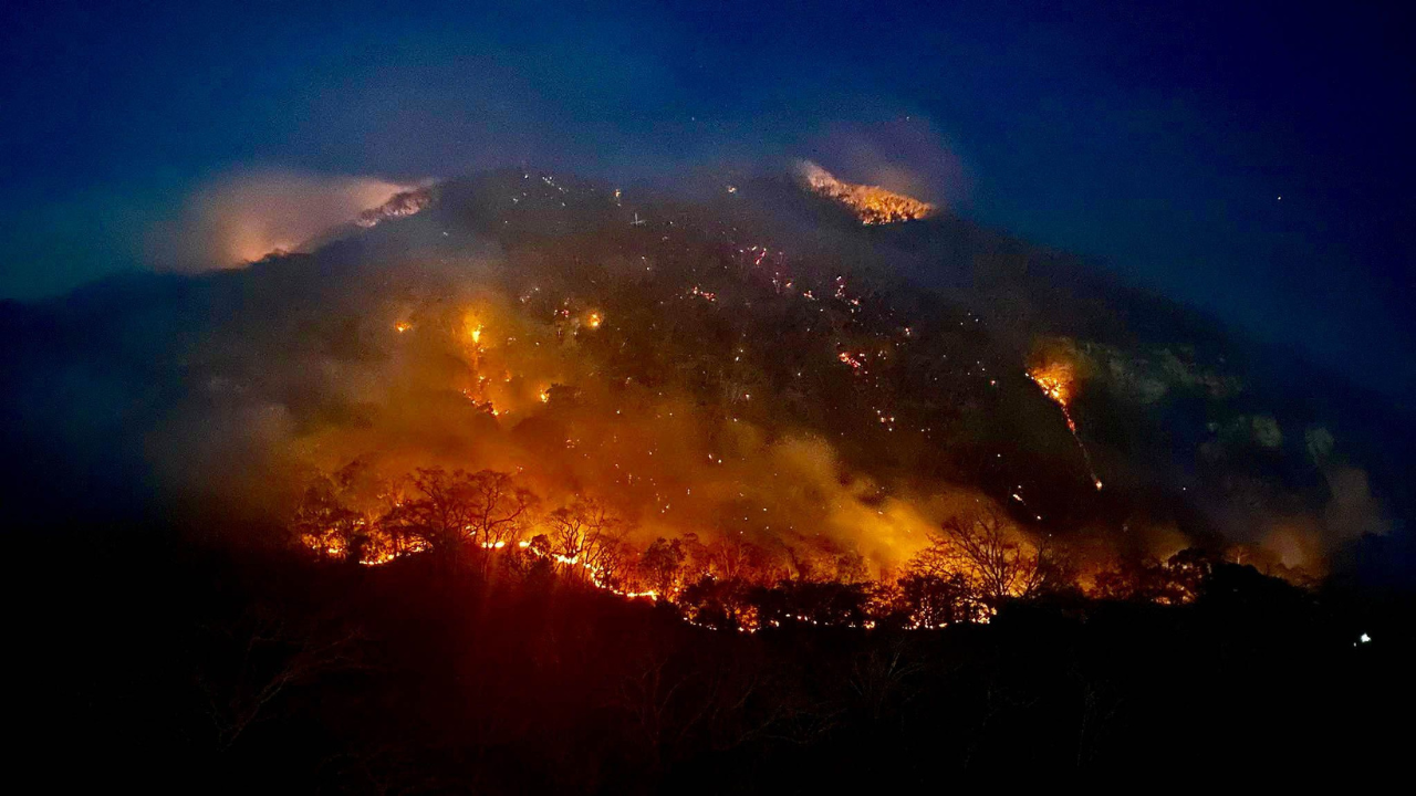 Incendios forestales en México