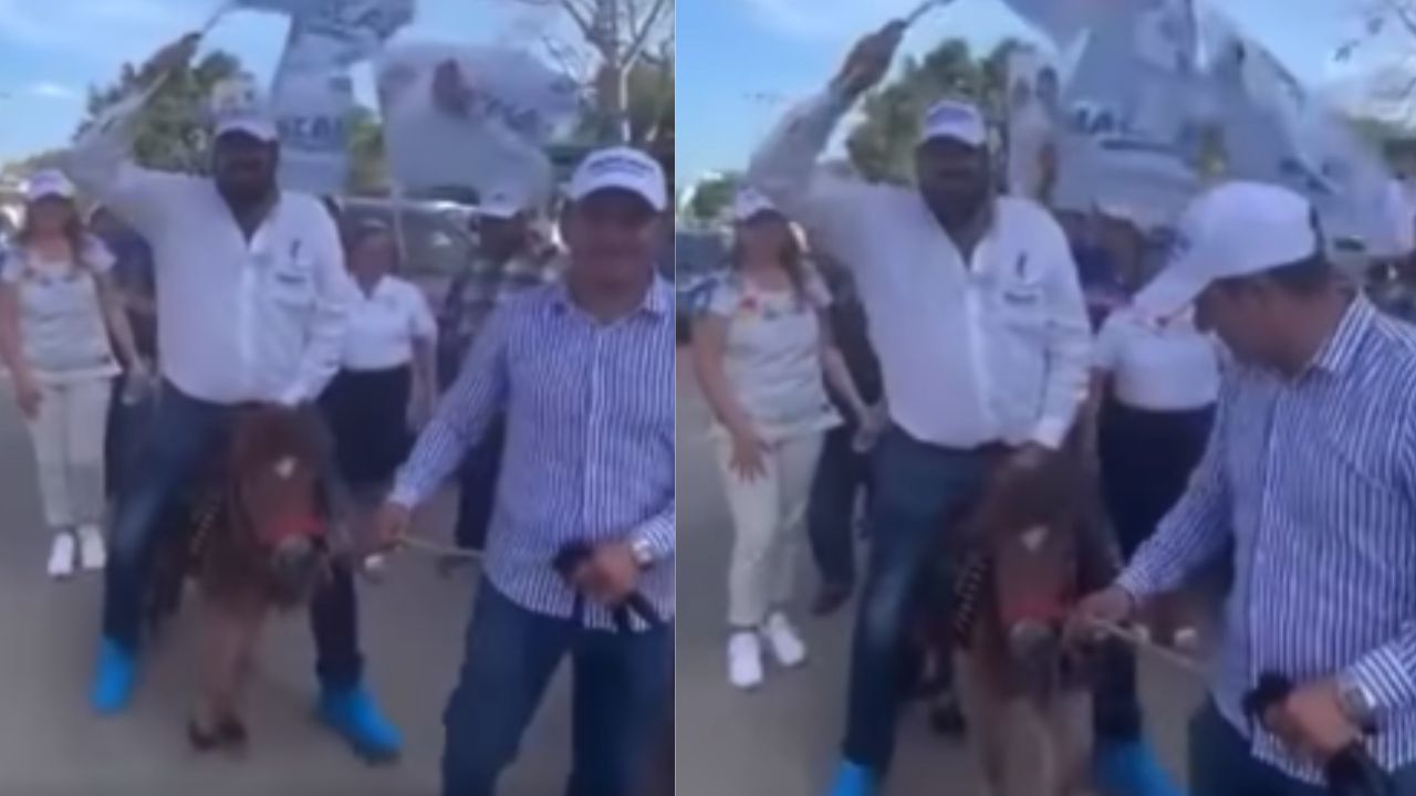 Foto:Captura de pantalla|VIDEO: Funan a candidato del PAN por montar un pony