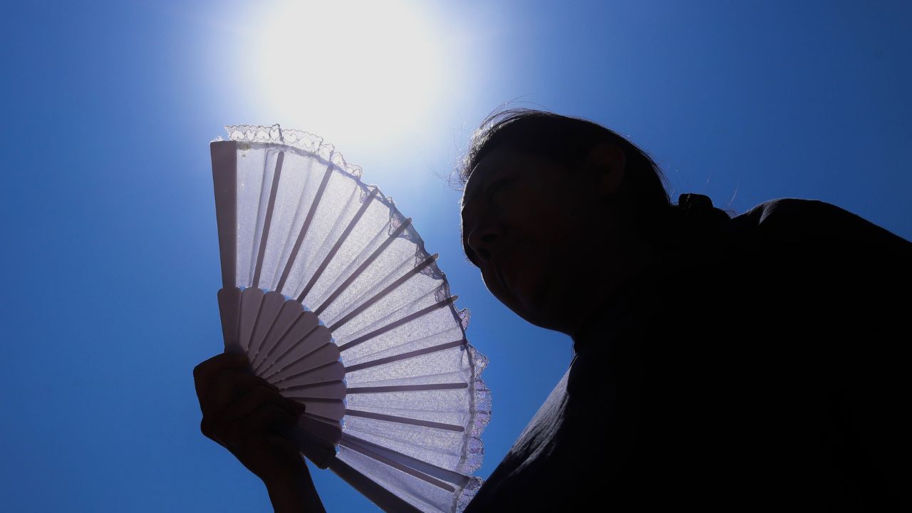 egún la OMM, El Niño alcanzó su punto máximo en diciembre pero aún se espera que arroje temperaturas por encima de lo normal hasta mayo