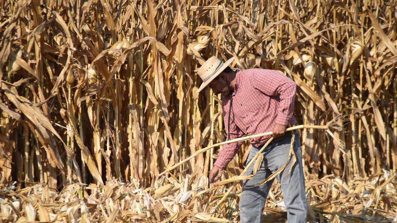 Ayuda. El mandatario local anunció que en los próximos días presentará un informe detallada de cuántos incendios se han generado en la capital