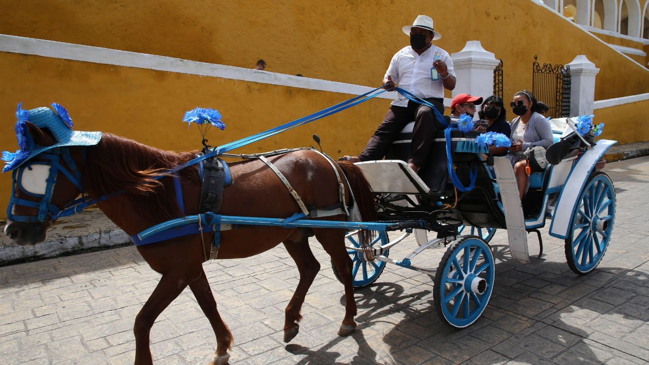 Yucatán. Son nominados a ocho categorías de los “Premios Mágicos por Excelencias 2024“.