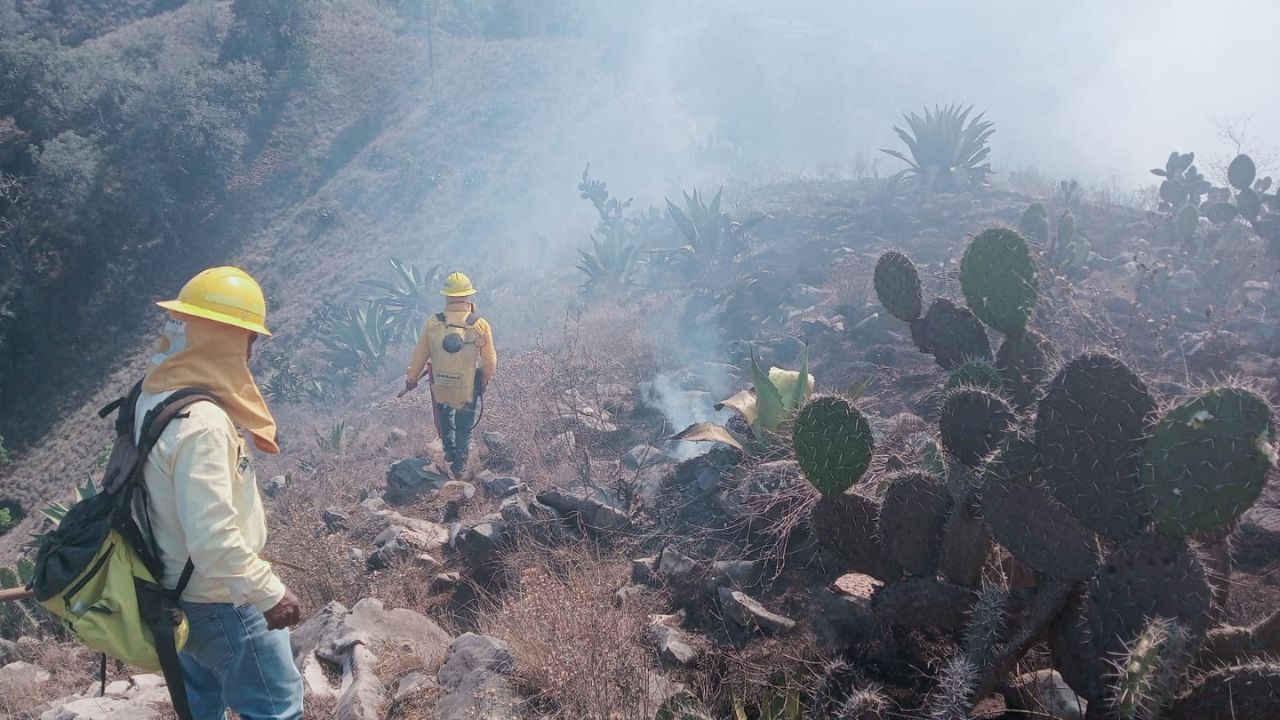 DAÑOS. Oaxaca, Estado de México, Veracruz y Guanajuato son los estados más afectados en este momento por las llamas, de acuerdo con la Comisión Nacional Forestal. 