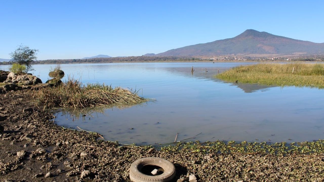 ALERTA. El embalse michoacano presenta una reducción en su almacenaje de 30%.