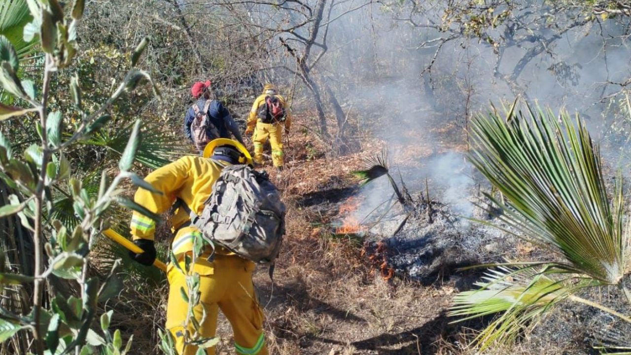 Rescate. En el combate de las llamas participan más de 3 mil brigadistas de los tres niveles de Gobierno, así como elementos de la Sedena y la Guardia Nacional.