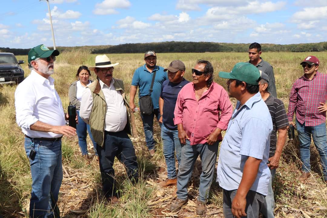 Foto: Cortesía / Supervisan trabajos de las últimas trillas de maíz