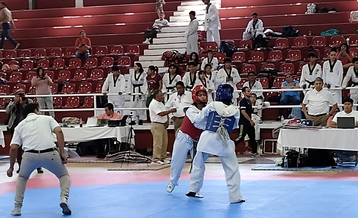 Foto: Cortesía / Destacada participación de los artemarcialistas en el gimnasio “Manuel Prego Galera”, de la Unidad Deportiva “20 de Noviembre”