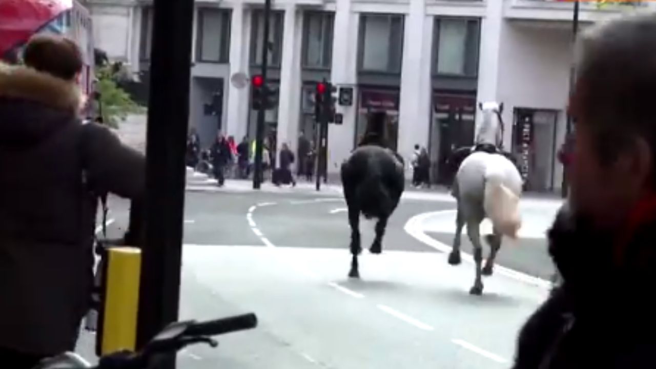 Foto:Captura de pantalla|VIDEO: Caballos militares se escapan y dejan 4 personas heridas