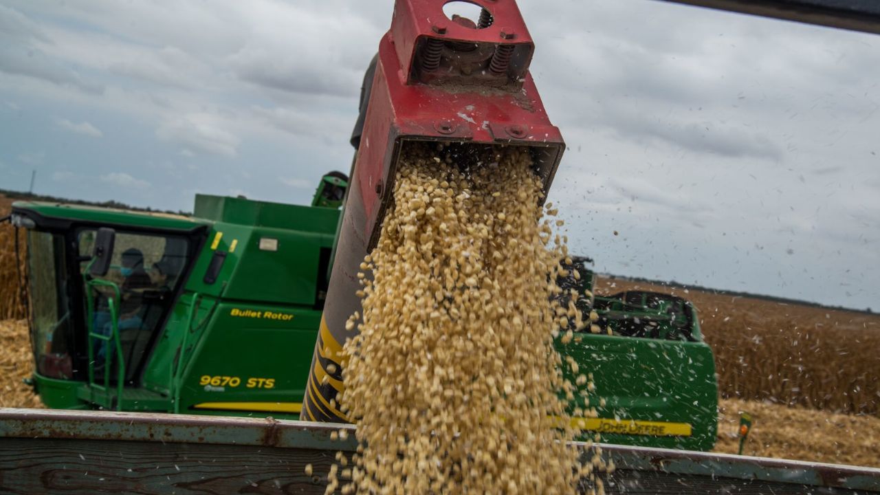 Foto:Cuartoscuro|Seguirá importación del Glifosato, "en pausa" su prohibición: AMLO