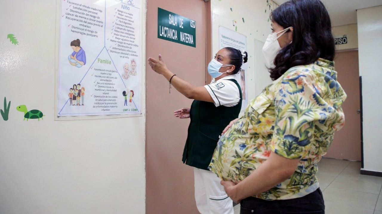 El próximo 27 de abril se llevará a cabo la “Marcha por la Vida”, donde mujeres exigirán mejores condiciones para la maternidad