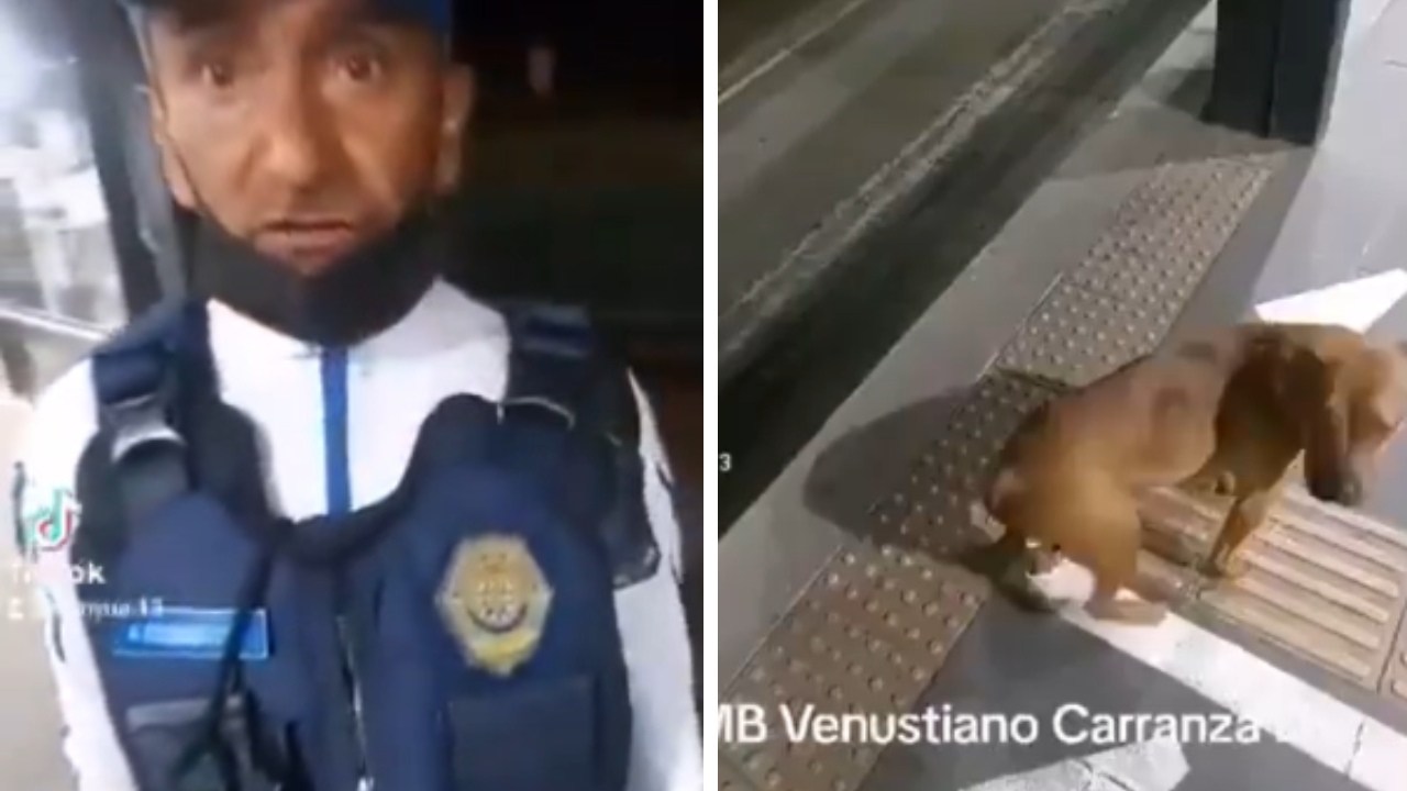 Un policía capitalino fue suspendido luego de que le pegó con un palo a un perrito, en una estación del Metrobús de la CDMX