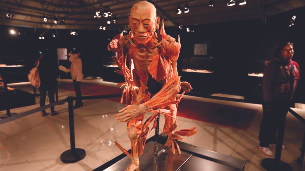 La muestra Our body: The universe within, explora a la humanidad de manera impactante y única