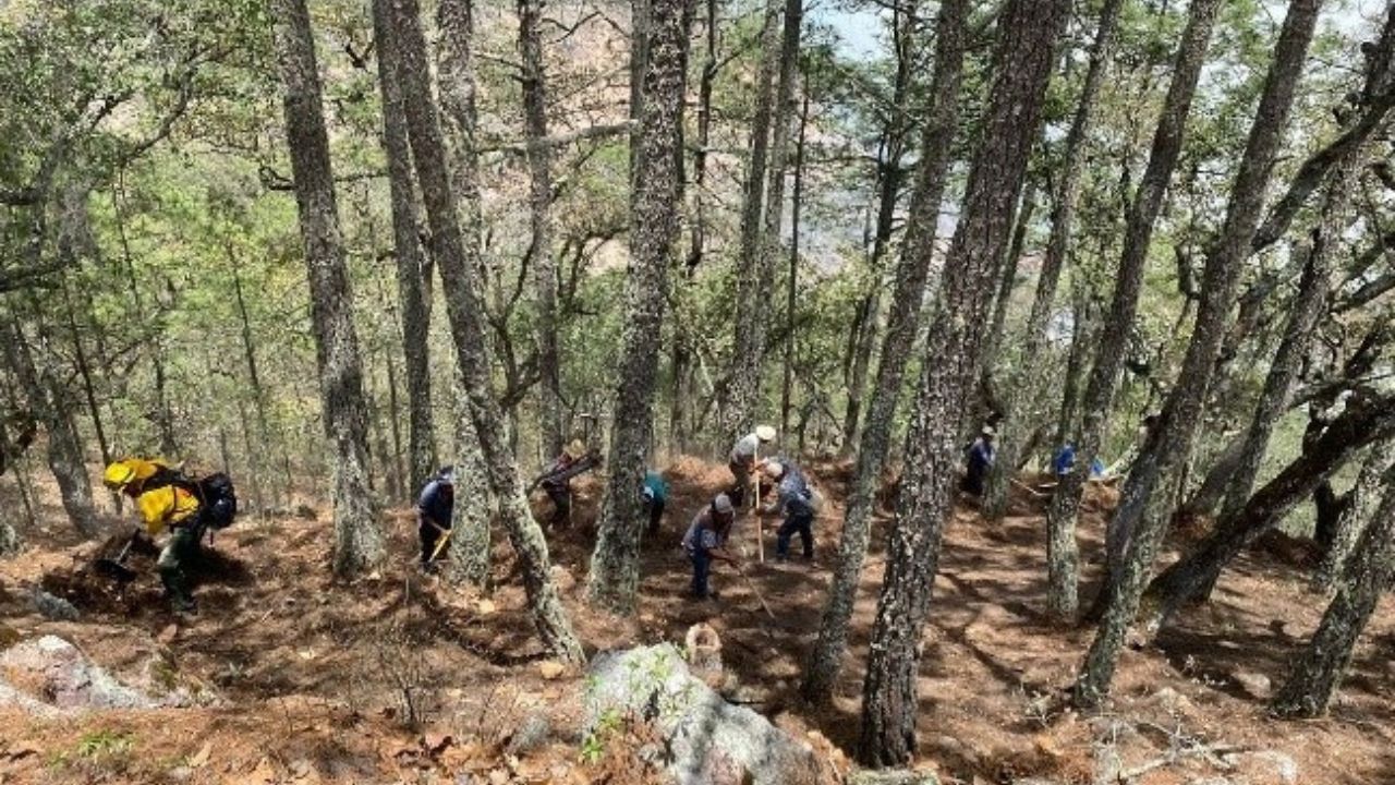 LUCHA. En La Primavera, los tragahumo lograron extinguir las llamas tras un día de trabajo.