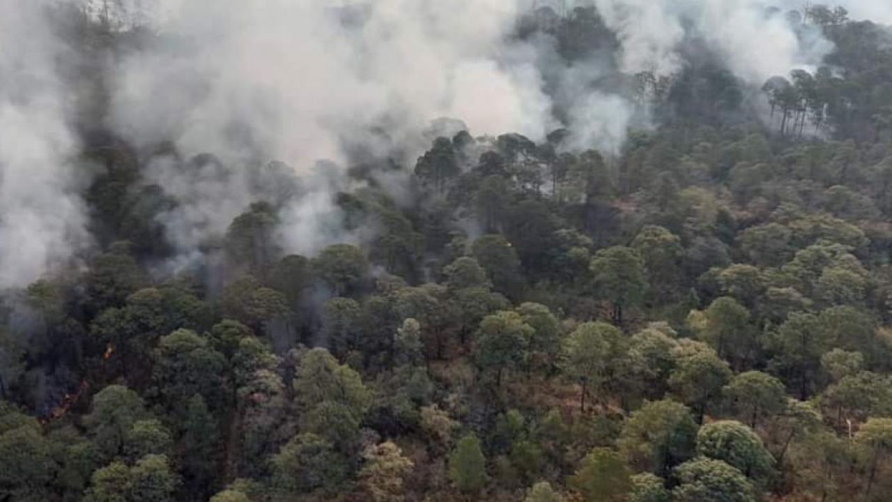 DAÑOS. En el Parque Nacional Uruapan, en Michoacán, los siniestros afectaron más de 400 hectáreas de bosque.