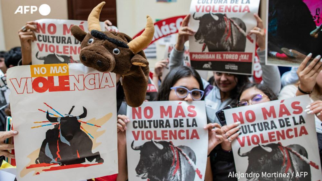 Colombia prohíbe las corridas de toros ‘tras 10 años de lucha’