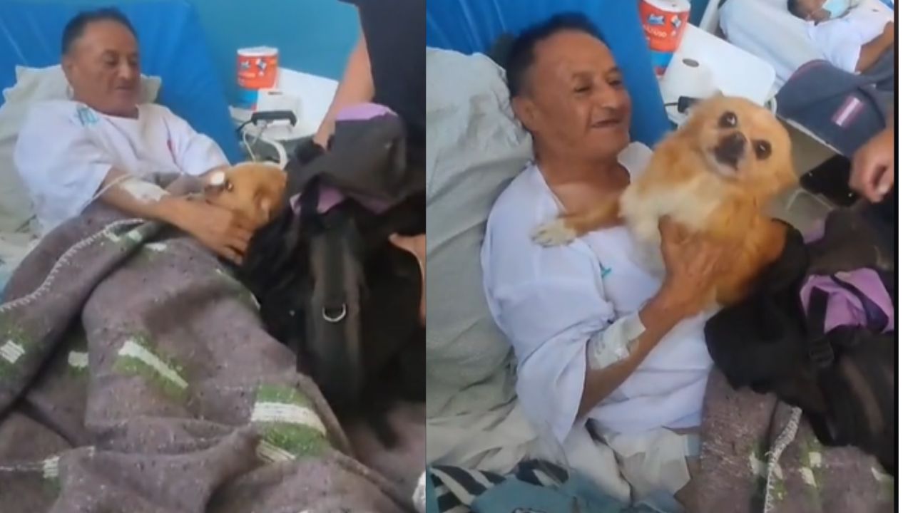 La perrita Catarina, se reencontró con su dueño tras estar varios días separados debido a su hospitalización