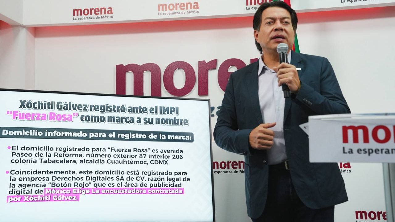 El dirigente nacional de Morena, Mario Delgado, aseguró que el movimiento “Marea Rosa” es una farsa, dado que esta tuvo un origen partidista