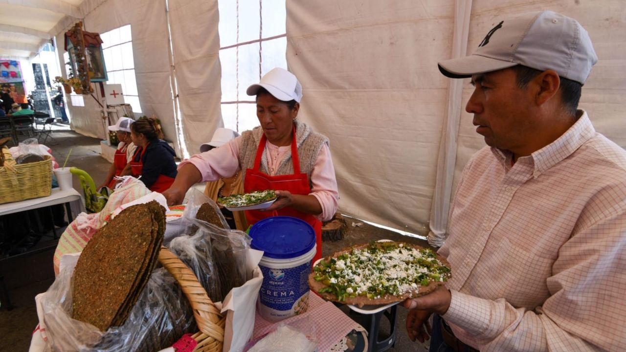 ¿Y los tacos papá y la salsita verde? Sequía hace estragos la producción de cilantro en México