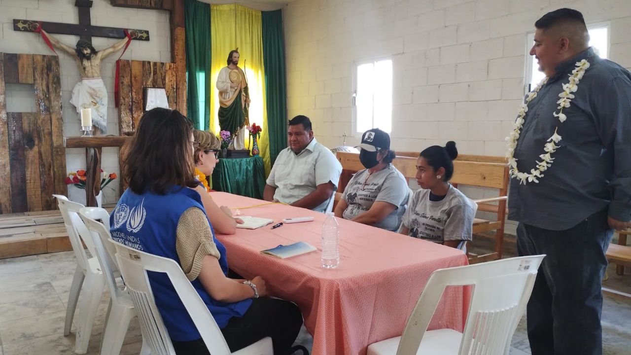 Comité contra la Desaparición Forzada, Denisse González.