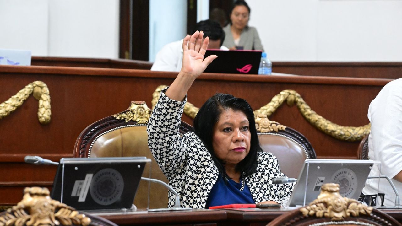 Llamado. La diputada priista, Guadalupe Barrón, destacó la urgencia de proteger el adecuado desarrollo de niñas, niños y adolescentes.