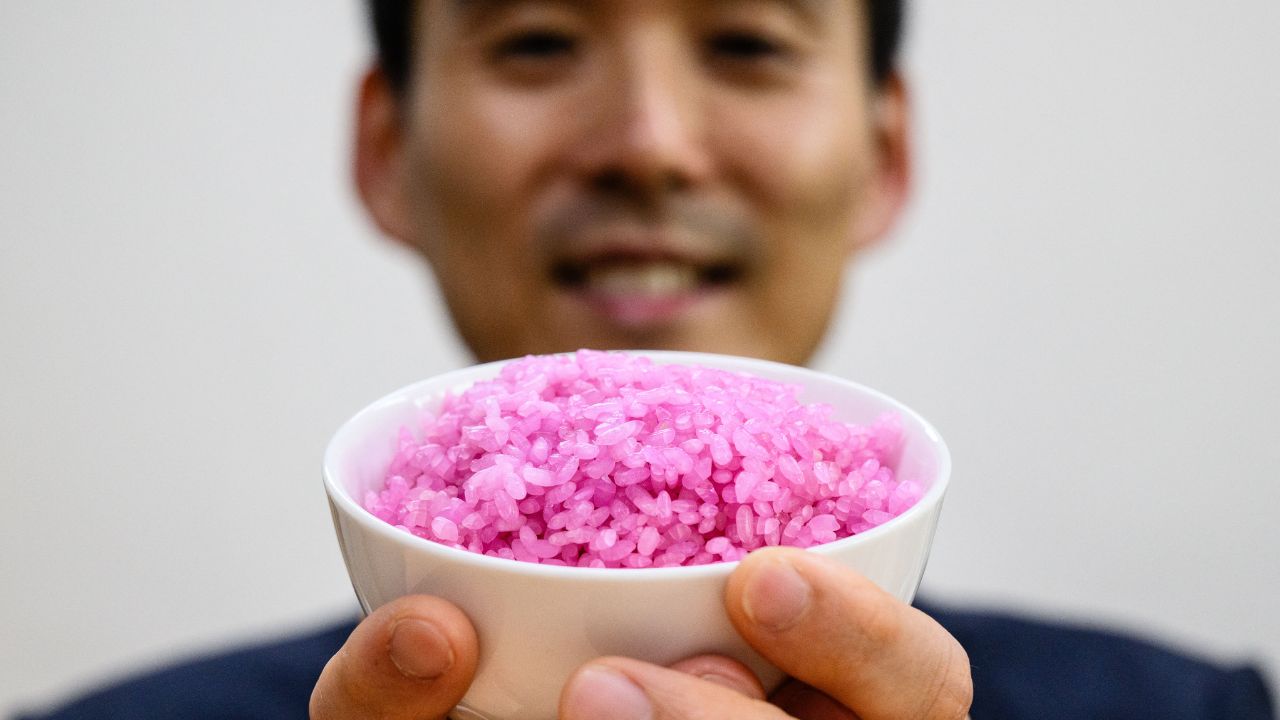 En un laboratorio de Seúl, un equipo de científicos surcoreanos inyecta células cultivadas de carne vacuna a granos individuales de arroz