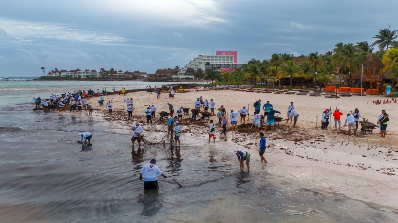 Intensifica gobiernos de Isla Mujeres la limpieza de playas por la llegada de sargazo