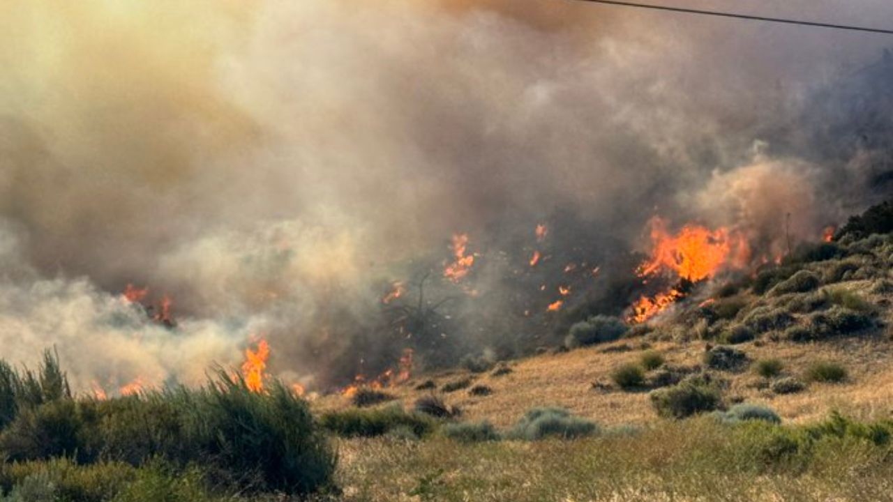 Incendios forestales se extienden por California, autoridades alertan a ciudadanos por posibles evacuaciones