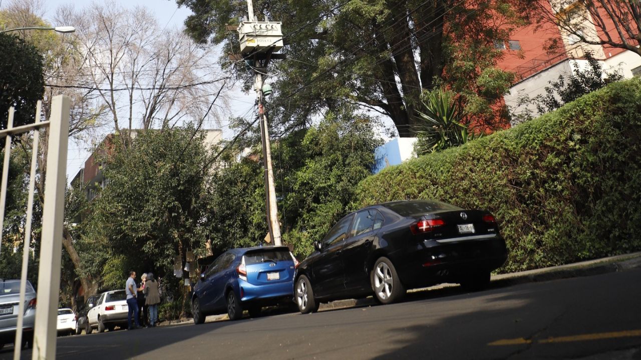 Histórico. El fresno tiene 150 años y se encuentra en la calle Cerrada de Eugenia.