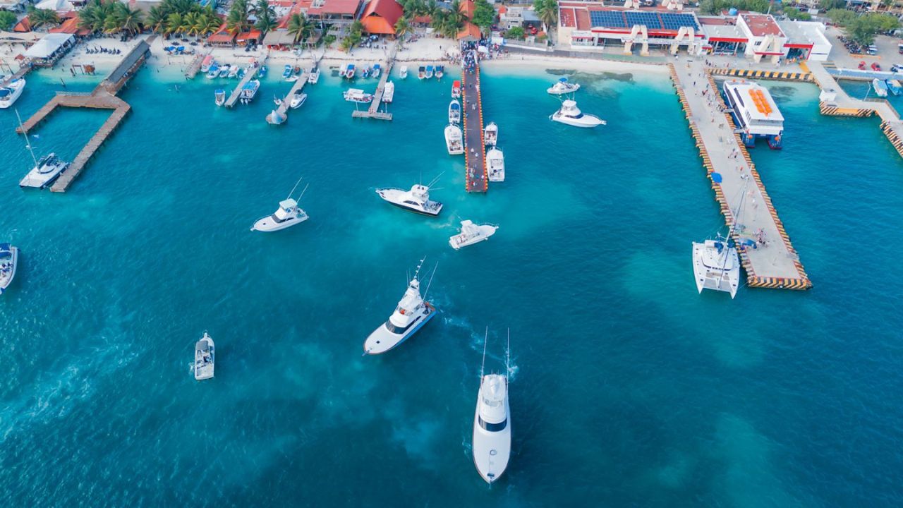 Mar. Reportan daños corales de Zihuatanejo, Punta Cancún, Nizuc e Isla Mujeres que además de afectar los ecosistemas, tienen repercusiones económicas y turísticas.