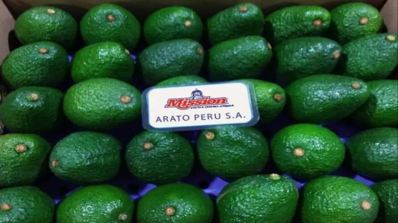 Foto:FB@hashtagabocato/Aguacateros amenazan con Mission, tras reducción de prestaciones y no recibir utilidades